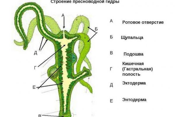 Можно ли восстановить аккаунт в кракен даркнет