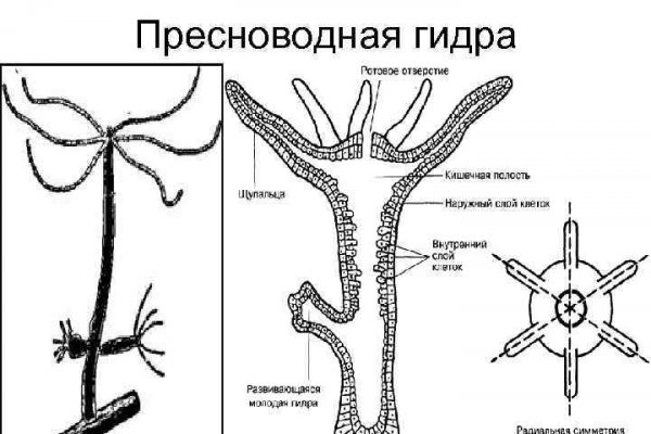 Когда заработает кракен