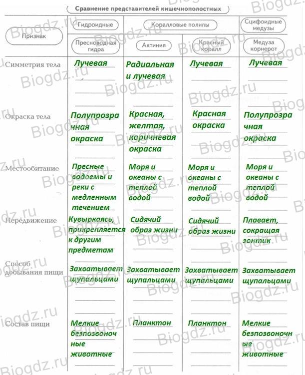 Телеграм канал кракен